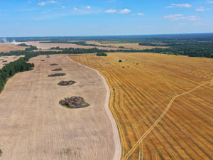 Harvest - 2022